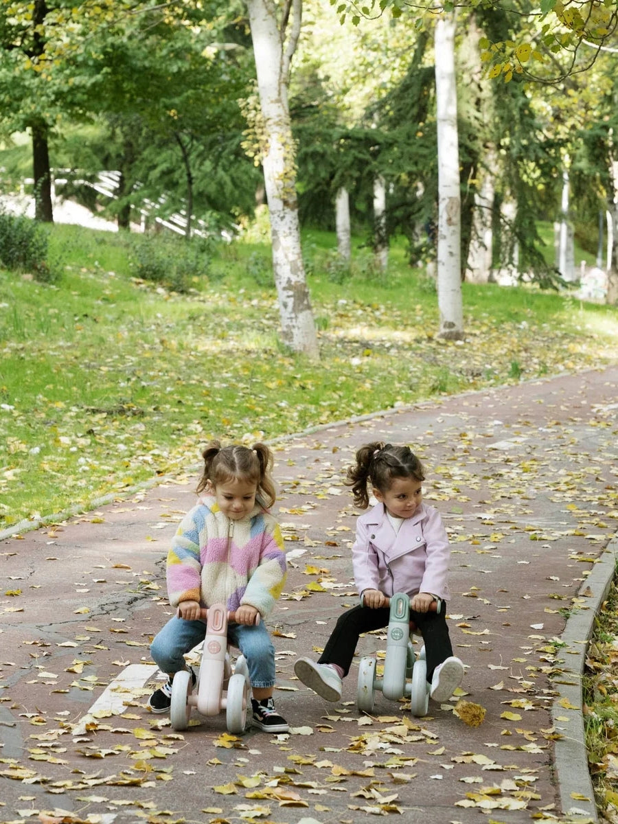 Bicicleta de Echilibru Saro , zRide Free   Pink ,   4 Roti EVA, Lumina Frontala, Cadru Otel   Fara Pedale 12M+ Max 25 kg
