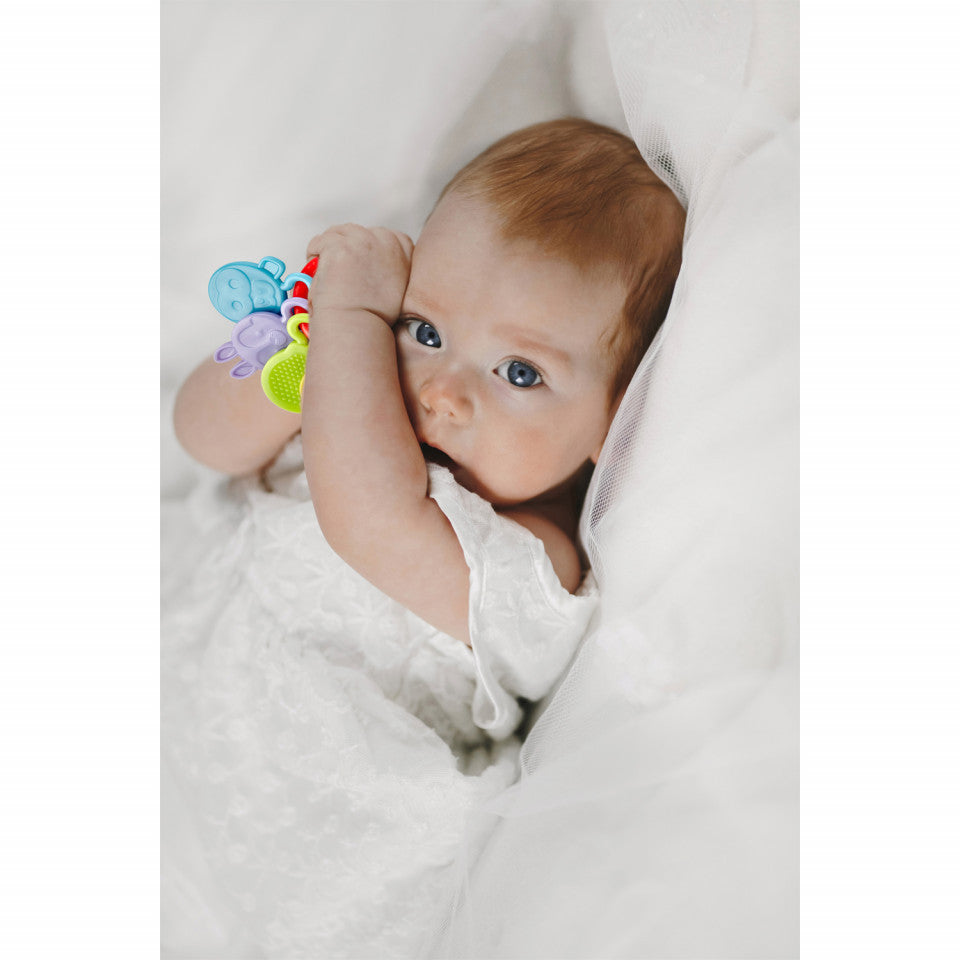 Jucarie dentitie Rattle Teether BabyJem (Culoare: Bleu)